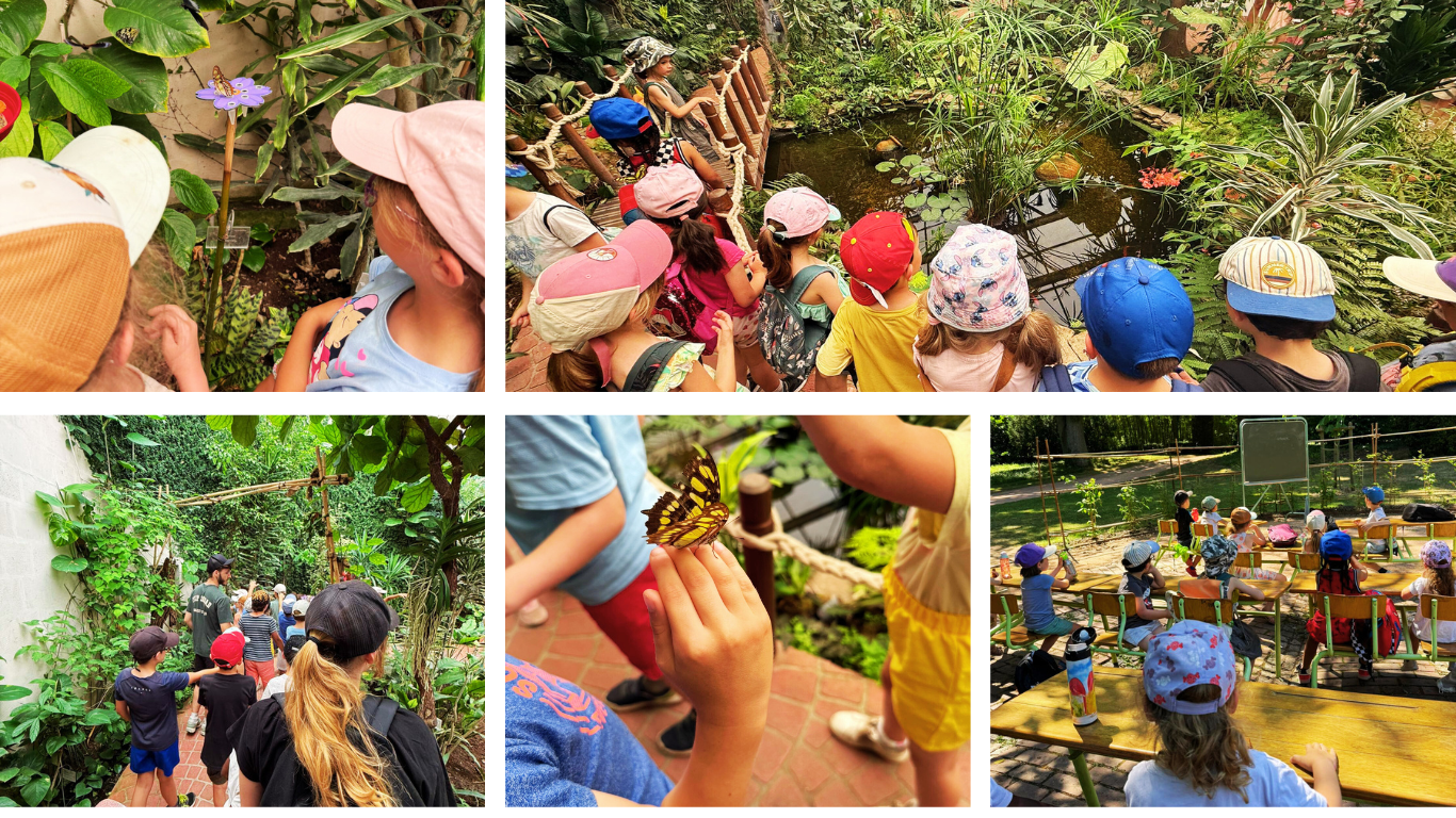 Retour photos sur la sortie au Parc Floral de La Source pour les enfants du périscolaire