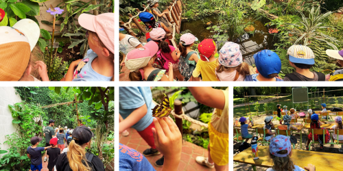 Retour photos sur la sortie au Parc Floral de La Source