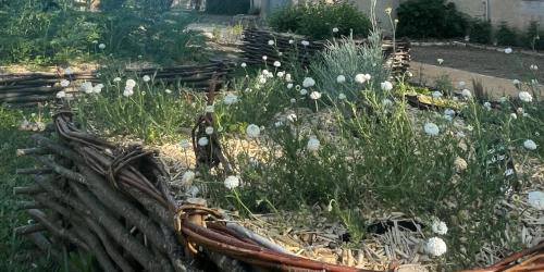 Carré des simples du jardin d'inspiration médiévale à Bellegarde