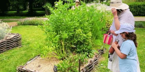 Jardin d'inspiration médiévale lors d'une visite guidée