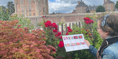 Photo du catalogue