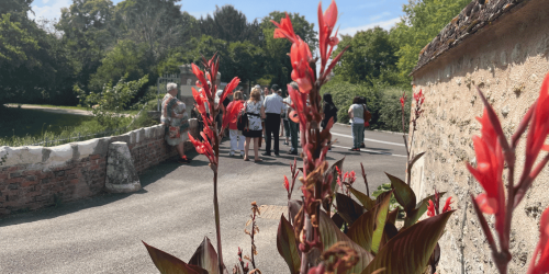 Allée fleurie