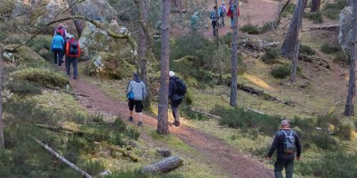 Photo d'une sortie à Fontainebleau avec le Rando Club des Roses