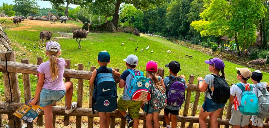 Photo d'une sortie au ZooParc de Beauval