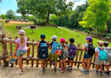 Photo d'une sortie au ZooParc de Beauval