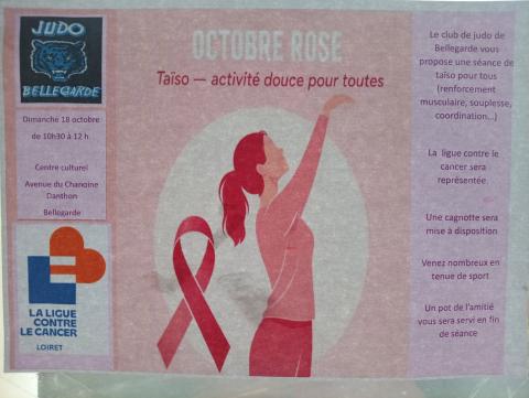 Affiche MJC Judo pour octobre rose, séance de Taïso